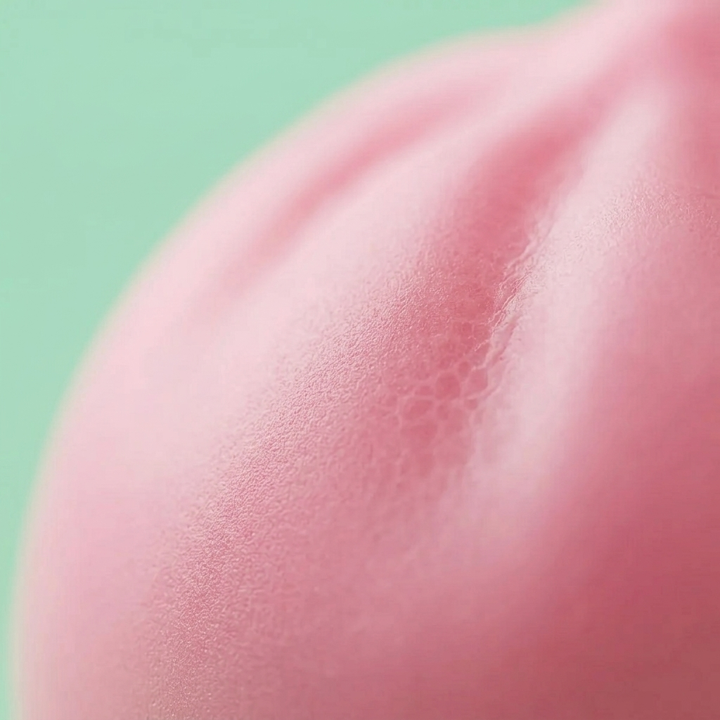 Puffig Rosa Dumpling Squishy Mjuk — närbild på strukturen