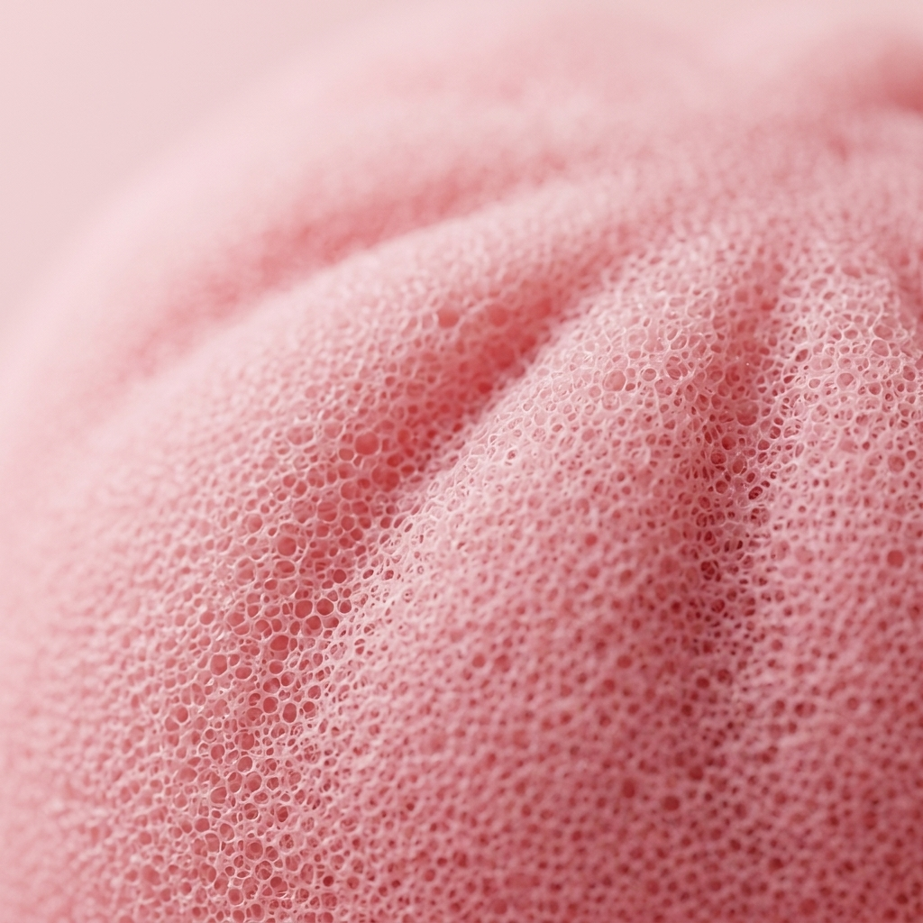 Pink Squishy Dumpling Mjuk Skönhet — närbild på strukturen